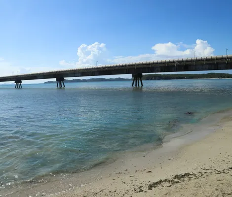 Imagem ilustrativa da imagem Empresa tem aividades suspensas após contaminação em praia do Subúrbio