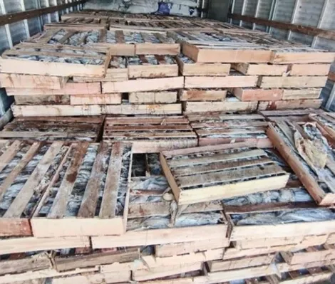 Imagem ilustrativa da imagem PRF apreende nove toneledas de peixes às vésperas da Semana Santa