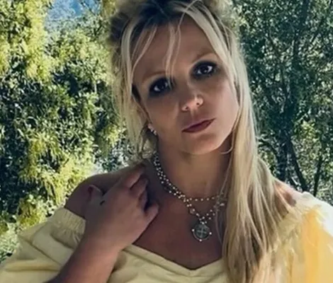 Imagem ilustrativa da imagem Saiba bastidores da prisão da cantora internacional Britney Spears