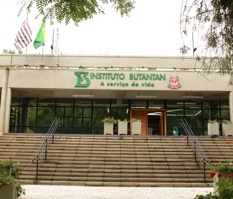 Imagem ilustrativa da imagem SUS receberá medicação contra o câncer produzido pelo Butantan