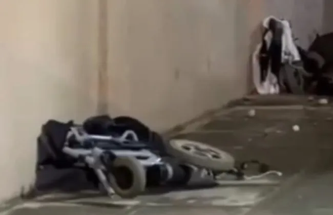 Imagem ilustrativa da imagem 