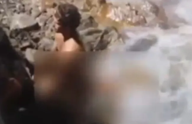 Imagem ilustrativa da imagem 