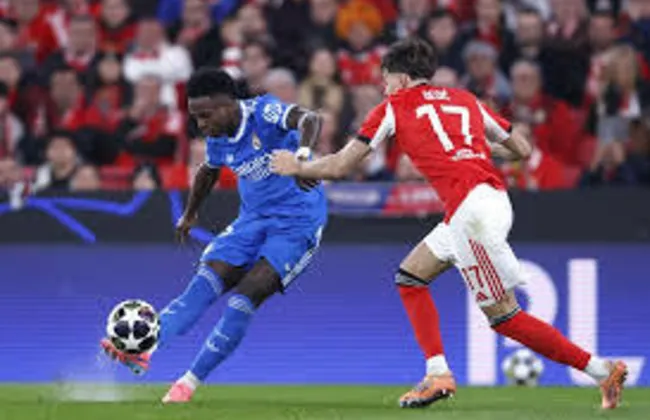 Imagem ilustrativa da imagem 