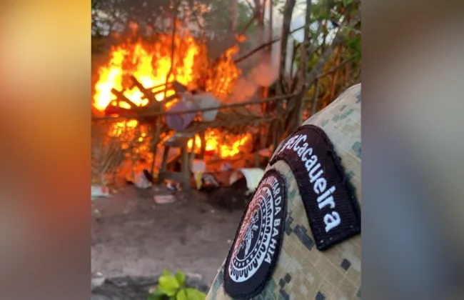 Imagem ilustrativa da imagem 