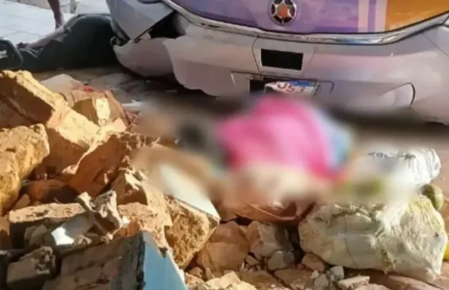 Imagem ilustrativa da imagem 