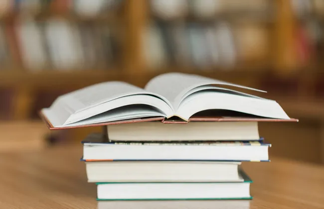 Imagem ilustrativa da imagem 