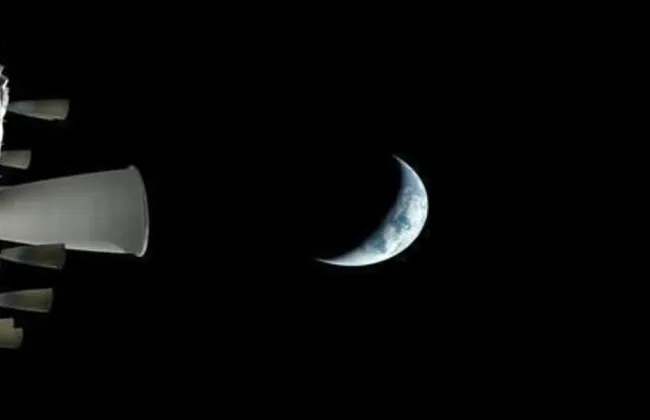 Imagem ilustrativa da imagem 