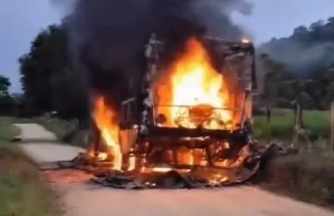 Imagem ilustrativa da imagem 