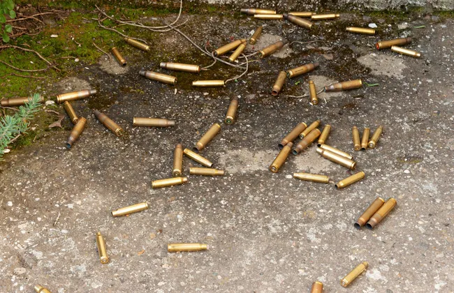 Imagem ilustrativa da imagem 