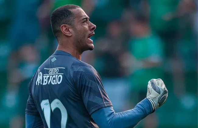 Imagem ilustrativa da imagem 