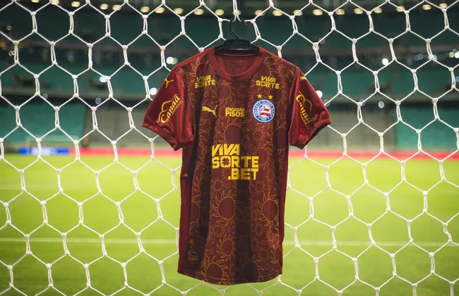 Imagem ilustrativa da imagem 