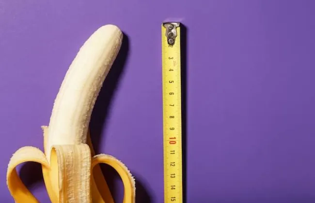 Imagem ilustrativa da imagem 