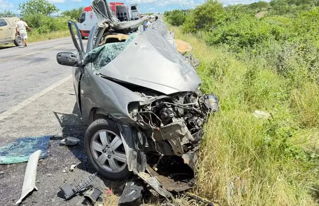 Imagem ilustrativa da imagem 