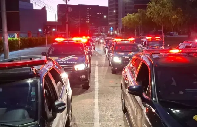 Imagem ilustrativa da imagem 