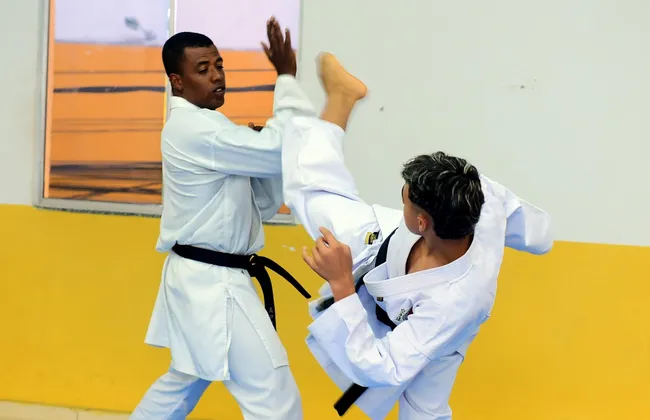 Imagem ilustrativa da imagem 