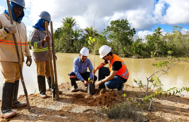 Imagem ilustrativa da imagem 