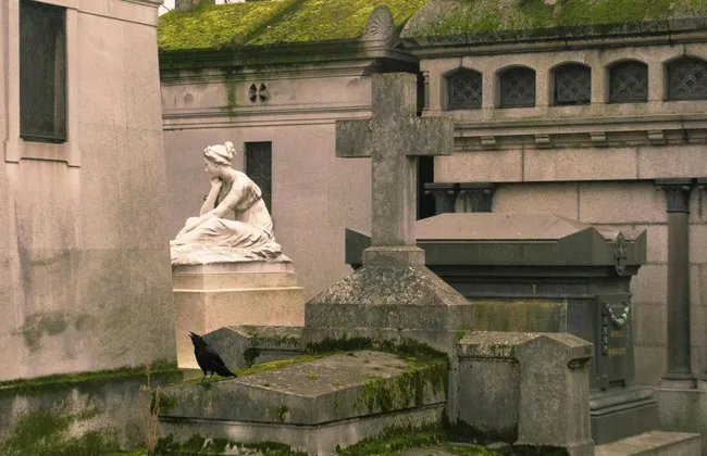 Imagem ilustrativa da imagem 