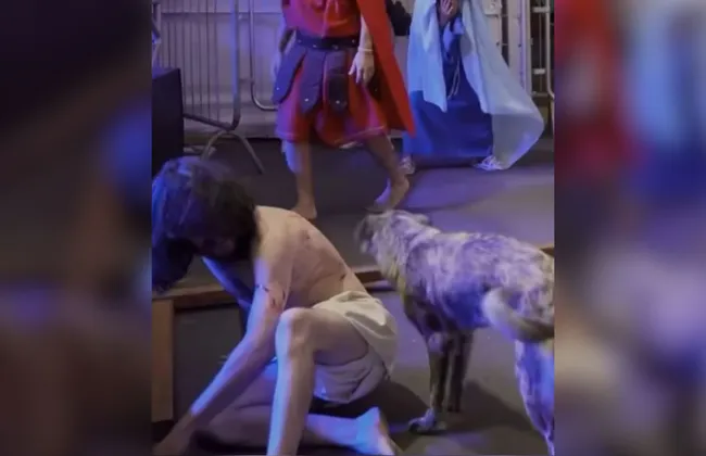 Imagem ilustrativa da imagem 