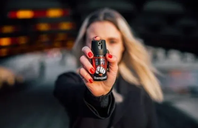 Imagem ilustrativa da imagem 