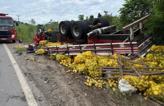 Imagem ilustrativa da imagem 