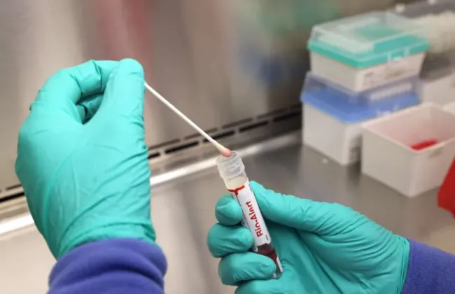 Imagem ilustrativa da imagem 