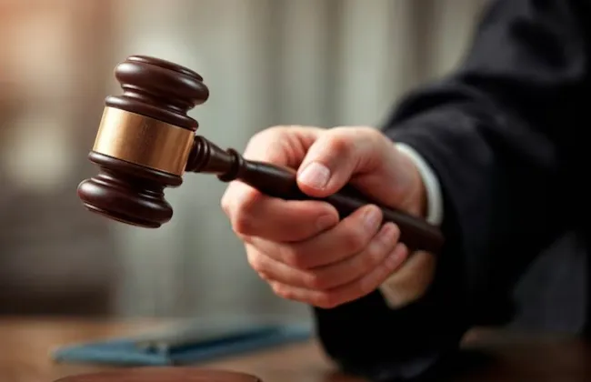 Imagem ilustrativa da imagem 