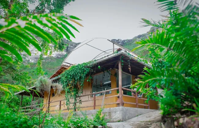 Imagem ilustrativa da imagem 