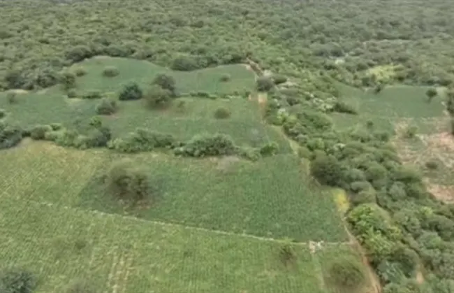 Imagem ilustrativa da imagem 