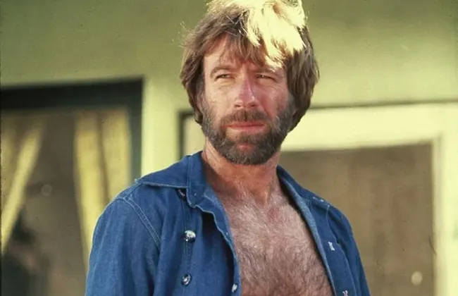 Imagem ilustrativa da imagem 