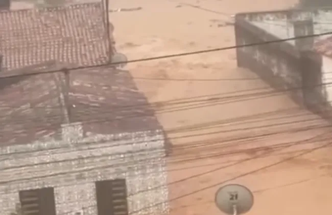 Imagem ilustrativa da imagem 