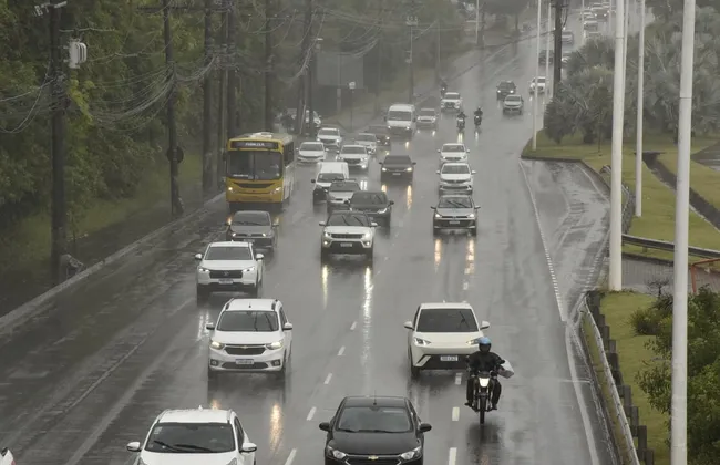 Imagem ilustrativa da imagem 