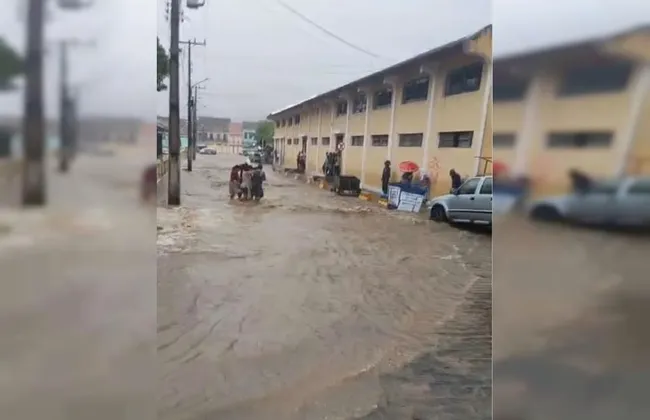 Imagem ilustrativa da imagem 