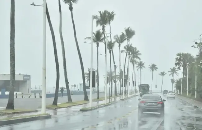 Imagem ilustrativa da imagem 