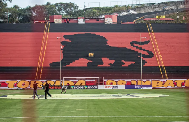 Imagem ilustrativa da imagem 