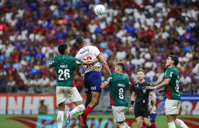 Imagem ilustrativa da imagem 