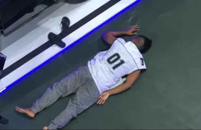 Imagem ilustrativa da imagem 