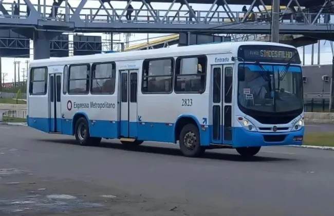 Imagem ilustrativa da imagem 