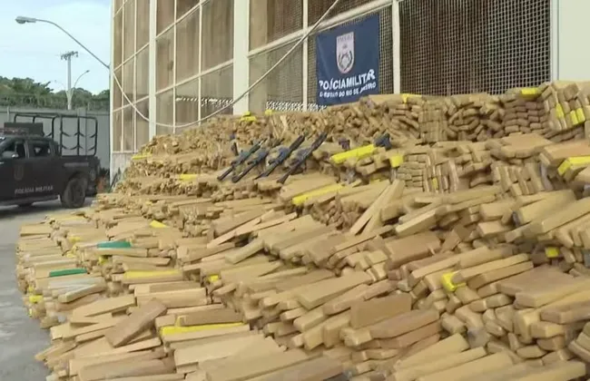 Imagem ilustrativa da imagem Doguinhos ‘x9’ localizam 50 toneladas de maconha