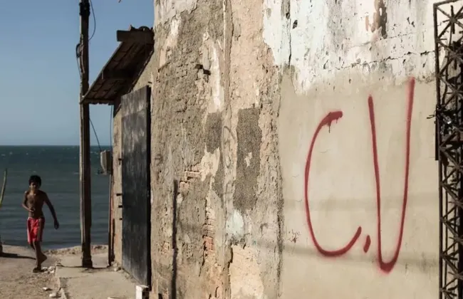 Imagem ilustrativa da imagem 