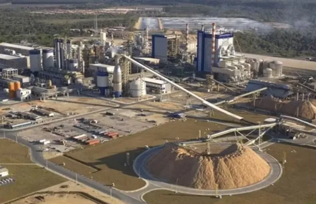 Imagem ilustrativa da imagem 