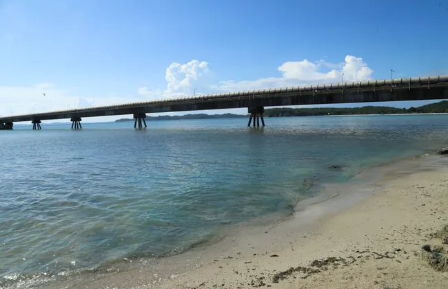 Imagem ilustrativa da imagem 