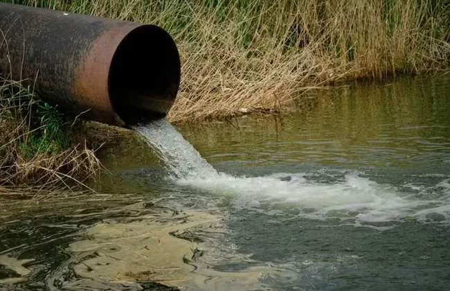 Imagem ilustrativa da imagem Ex-astro de reality show é encontrado morto em vala