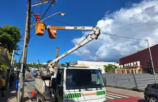 Imagem ilustrativa da imagem 