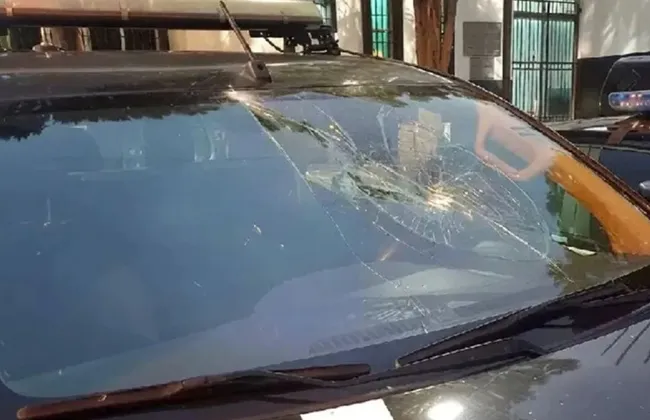 Imagem ilustrativa da imagem 