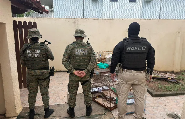 Imagem ilustrativa da imagem 