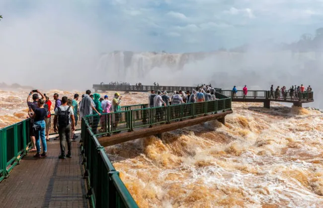 Imagem ilustrativa da imagem 