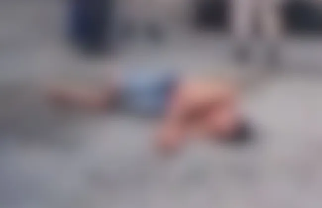 Imagem ilustrativa da imagem 