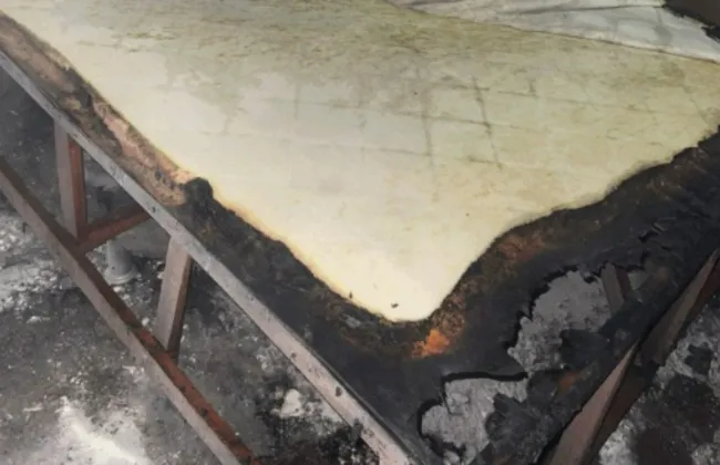 Imagem ilustrativa da imagem 