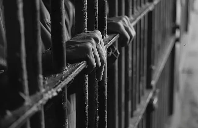 Imagem ilustrativa da imagem 