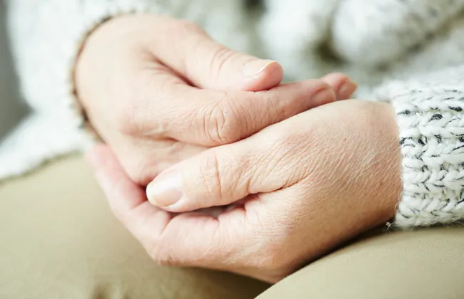 Imagem ilustrativa da imagem 